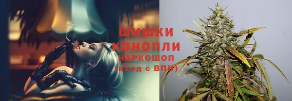 spice Абаза