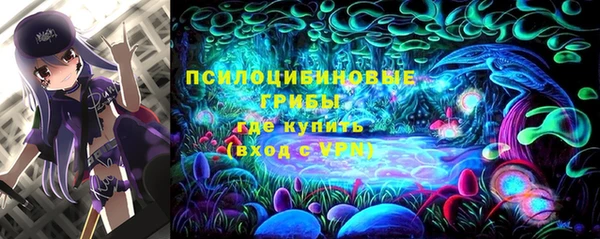 spice Абаза