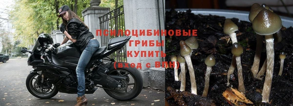 spice Абаза